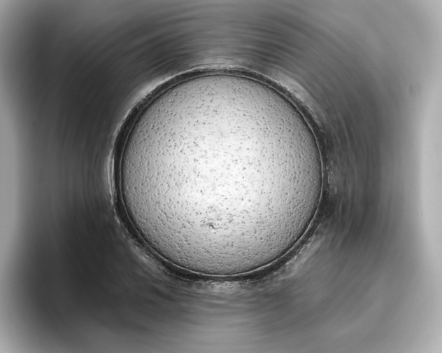 X0000096961030200802221338