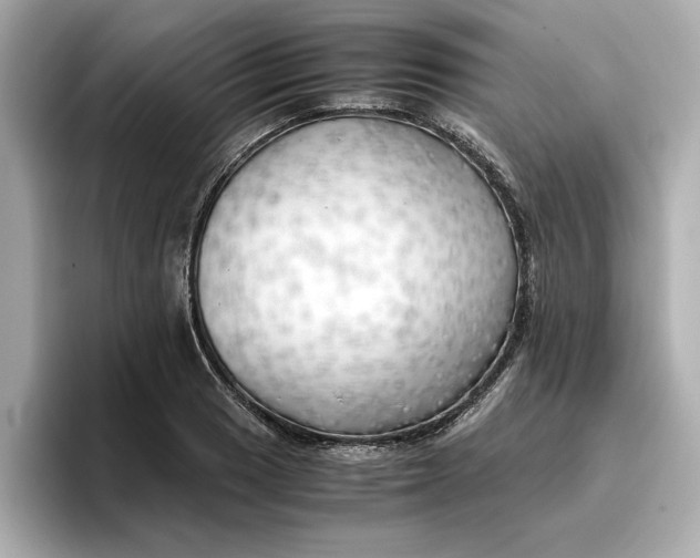 X0000096961033200802221338