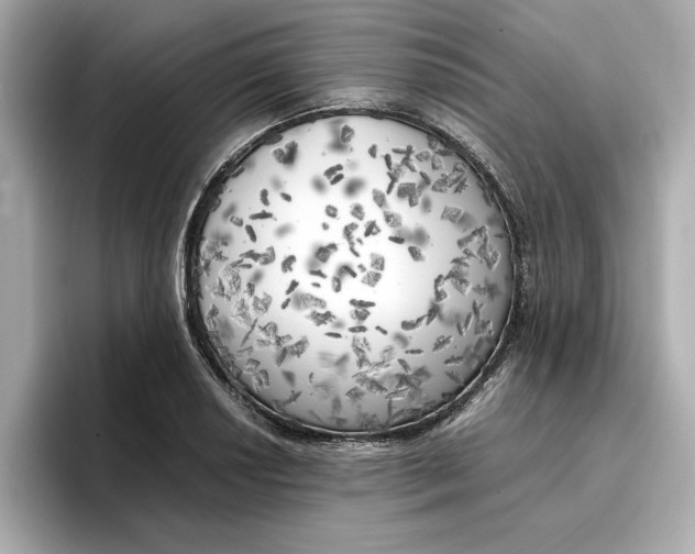 X0000096961034200802221338