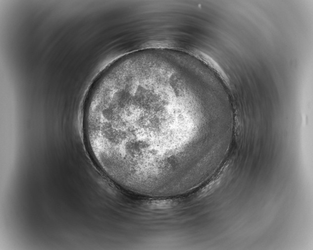 X0000096961035200802221338