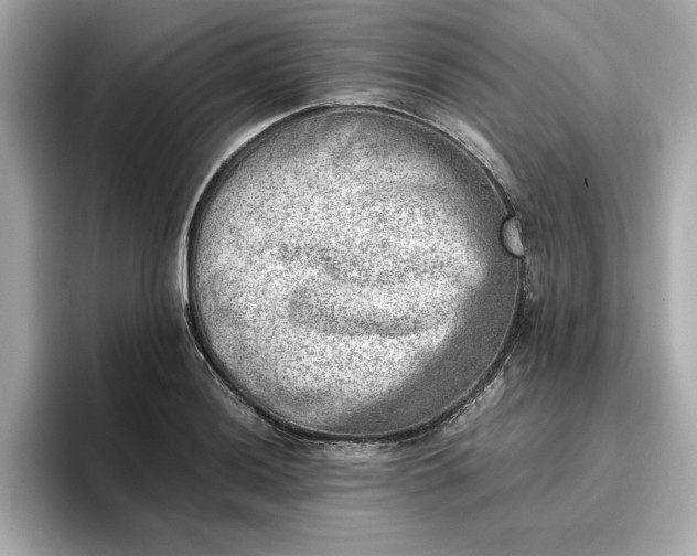 X0000096961036200802221338