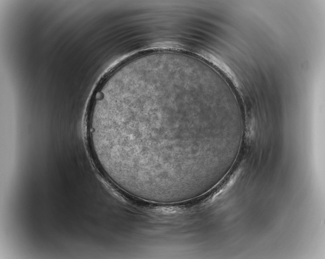 X0000096961037200802221338