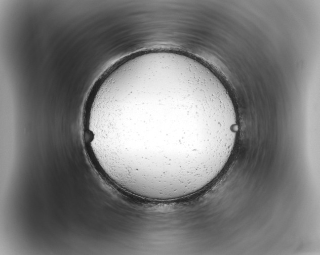 X0000096961038200802221338