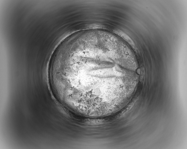 X0000096961039200802221338