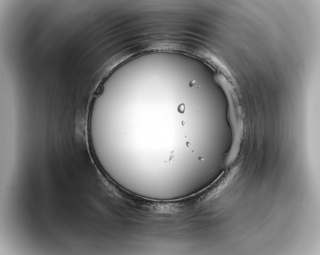 X0000096961041200802221338