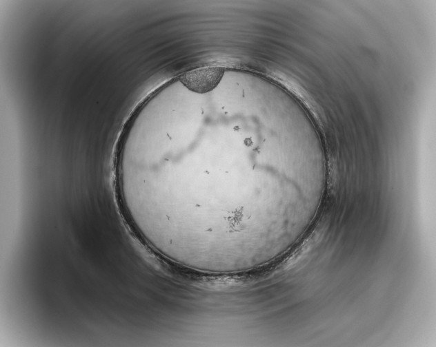 X0000096961042200802221338