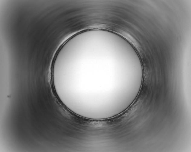 X0000096961044200802221338