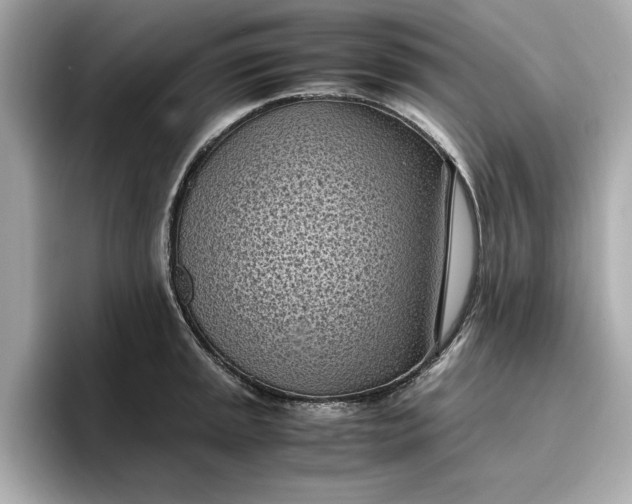 X0000096961045200802221338