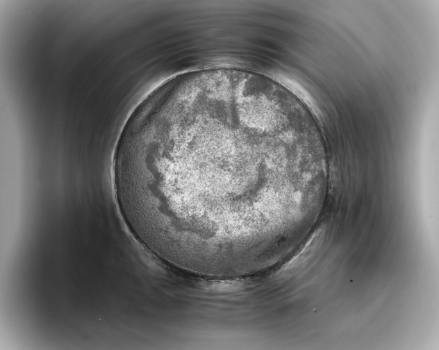 X0000096961047200802221338