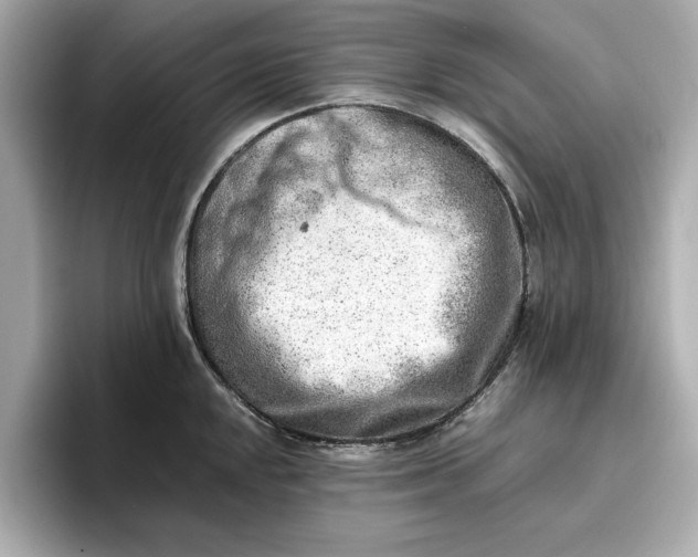 X0000096961048200802221338