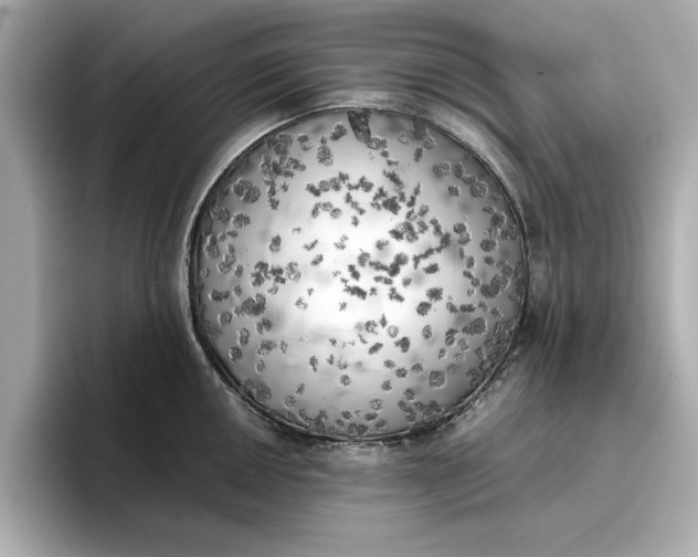 X0000096961050200802221338