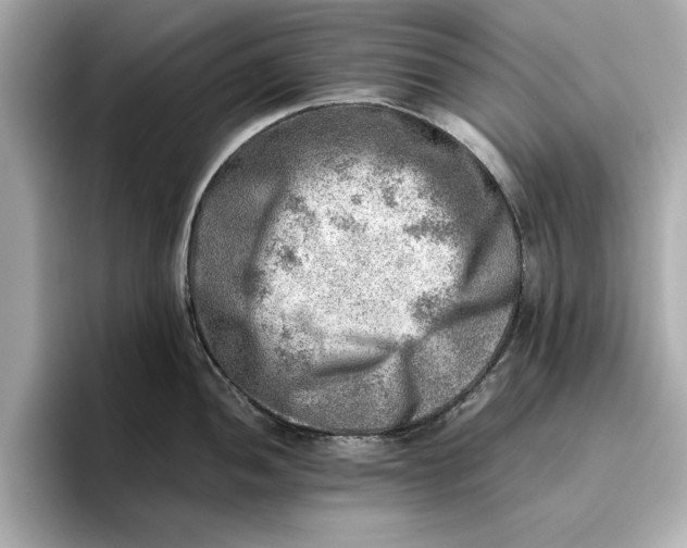 X0000096961052200802221338