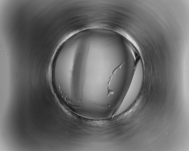 X0000096961053200802221338