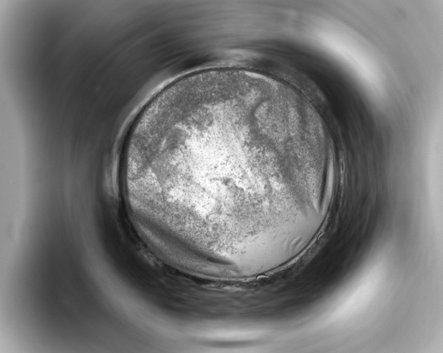 X0000096961054200802221338