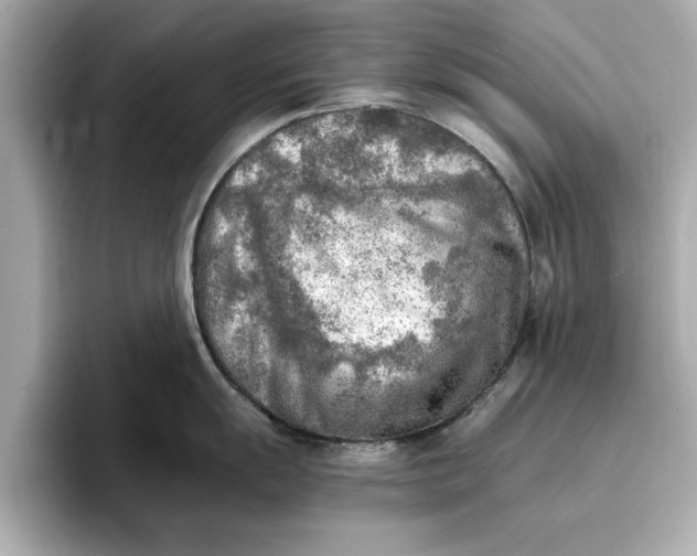 X0000096961055200802221338