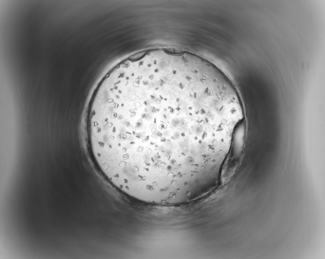 X0000096961056200802221338