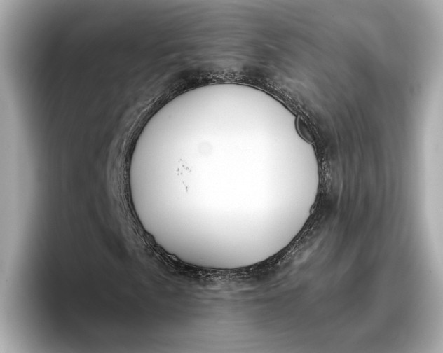 X0000096961057200802221338