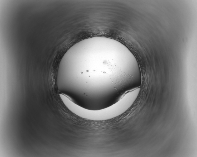 X0000096961058200802221338