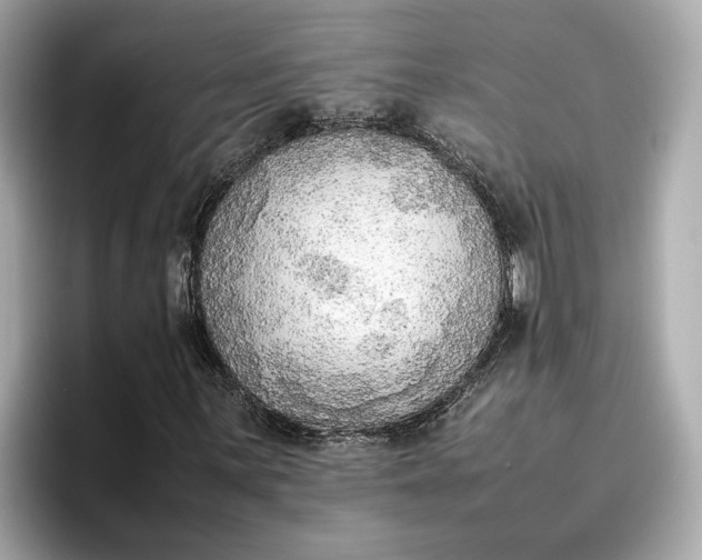 X0000096961059200802221338