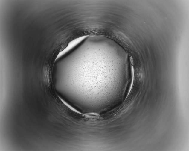 X0000096961060200802221338