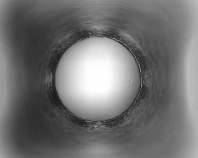 X0000096961061200802221338