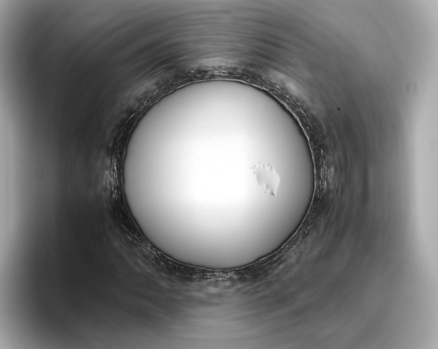 X0000096961062200802221338