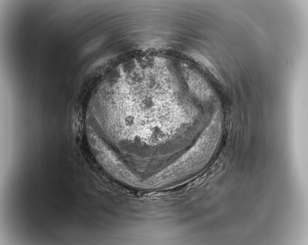 X0000096961063200802221338