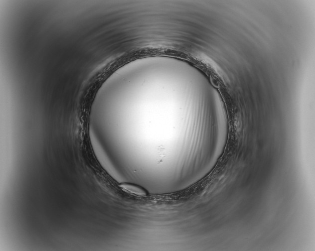 X0000096961064200802221338