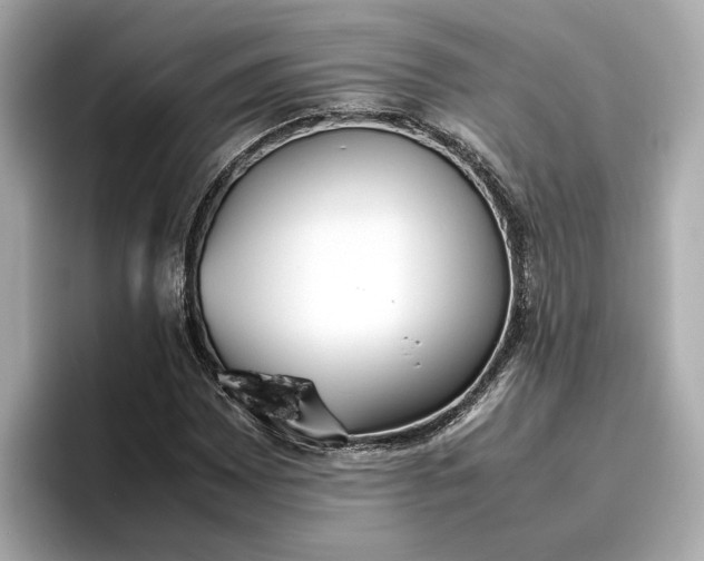 X0000096961065200802221338