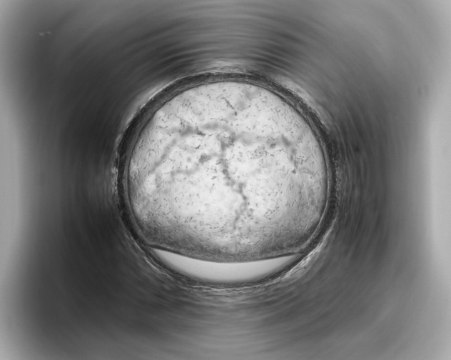 X0000096961066200802221338