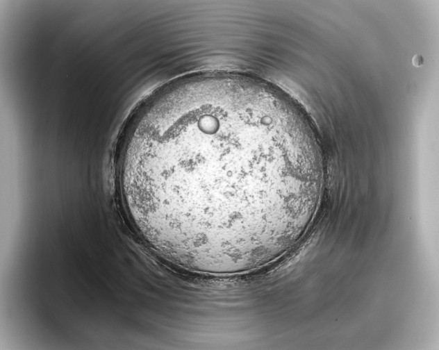 X0000096961067200802221337