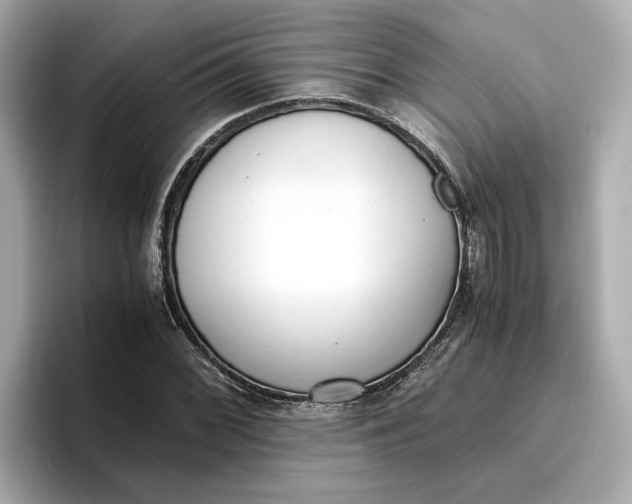 X0000096961068200802221337