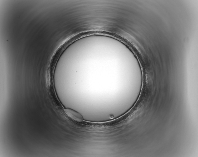 X0000096961069200802221337