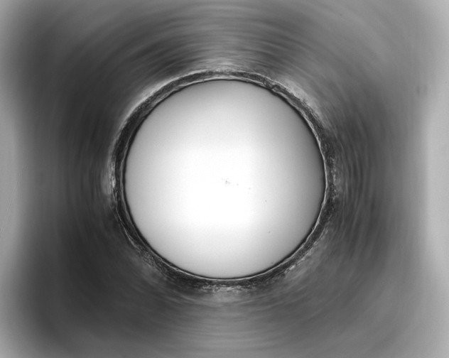 X0000096961070200802221337