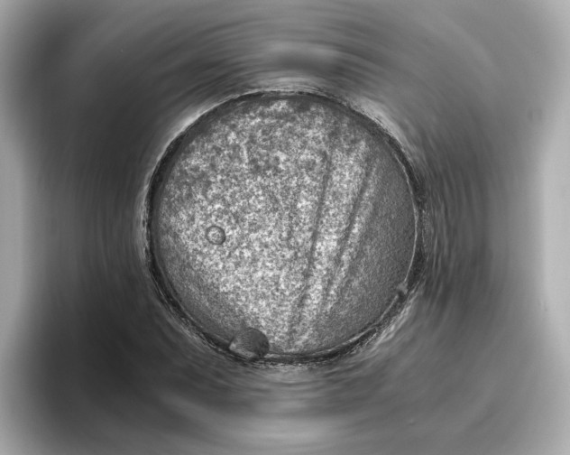 X0000096961071200802221337