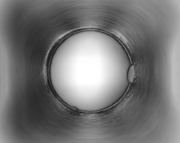 X0000096961072200802221337