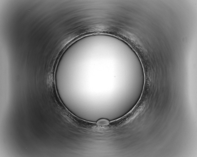 X0000096961073200802221337