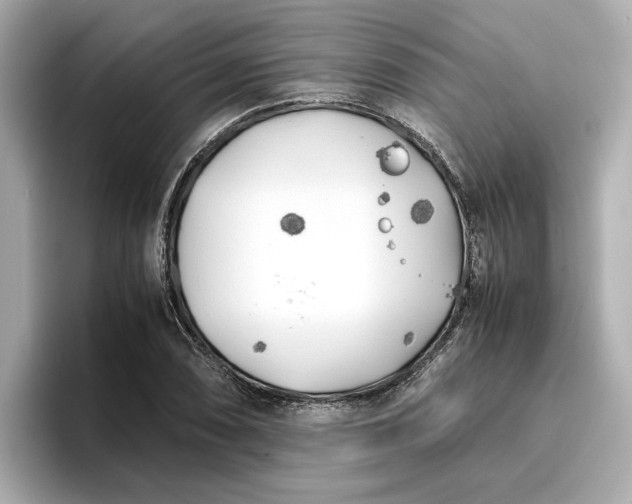 X0000096961074200802221337