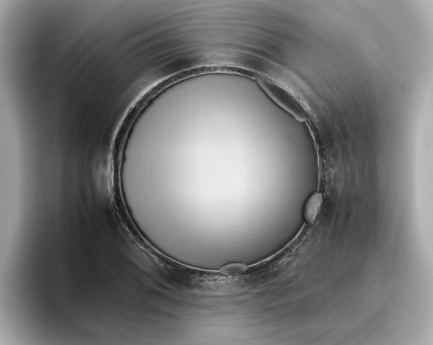 X0000096961076200802221337