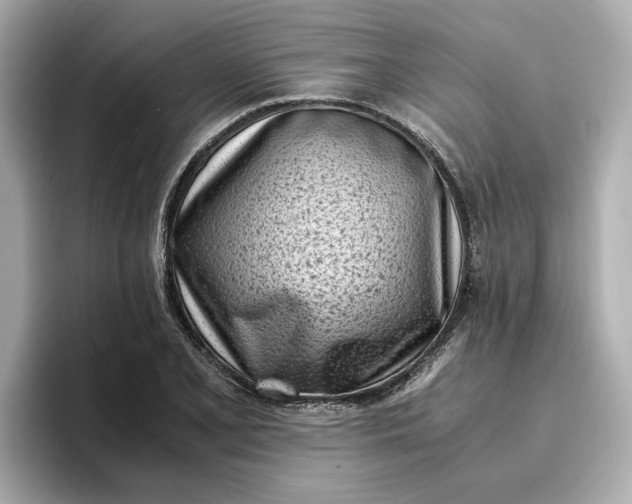 X0000096961077200802221337