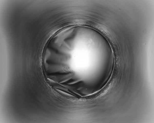 X0000096961081200802221337