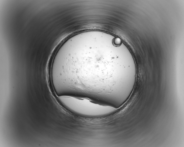 X0000096961082200802221337