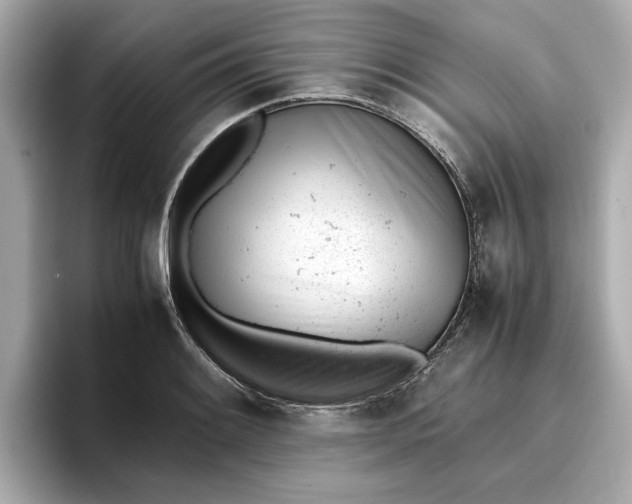 X0000096961084200802221337