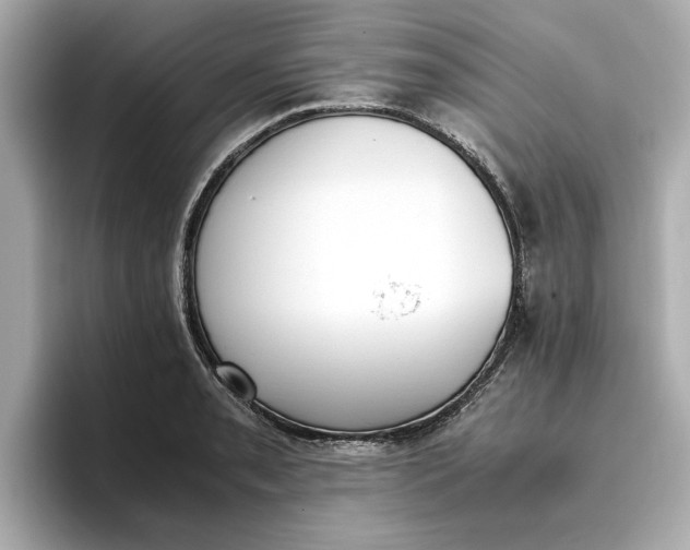 X0000096961085200802221337