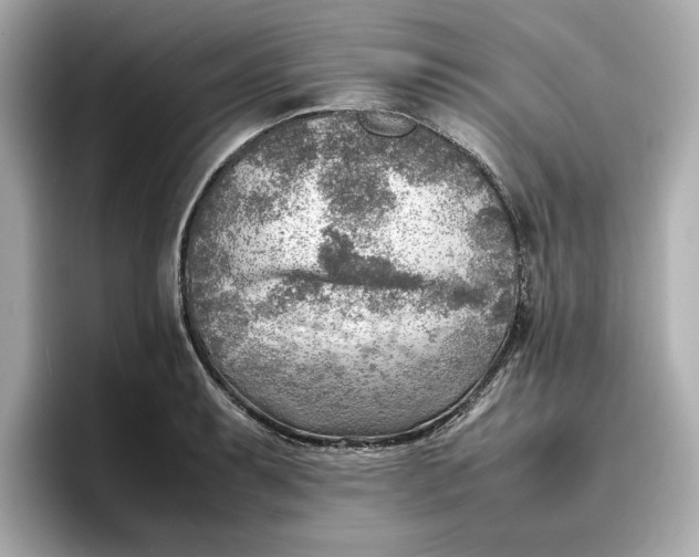 X0000096961087200802221337