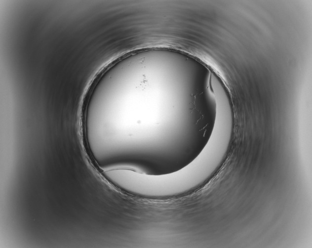 X0000096961088200802221337