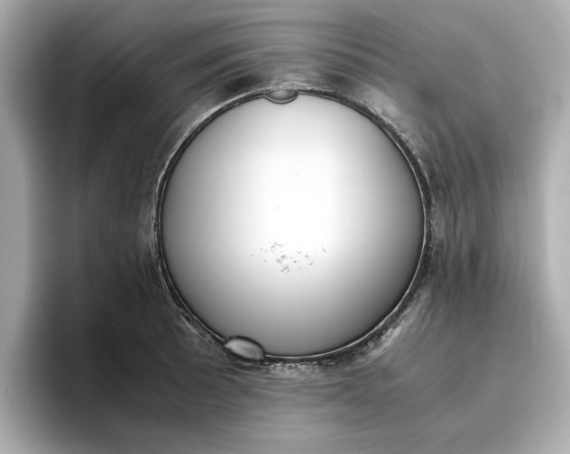 X0000096961089200802221337