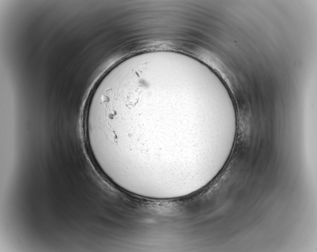 X0000096961090200802221337