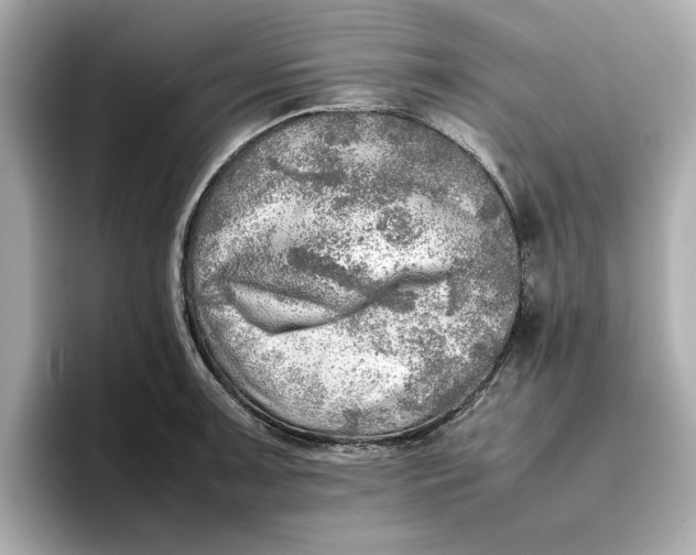 X0000096961091200802221337