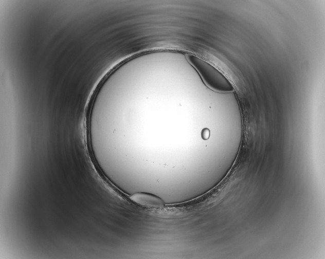 X0000096961092200802221337